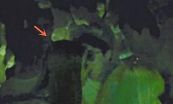 房祖名吸毒为什么还能出演电影,房祖名吸毒为什么能演电影