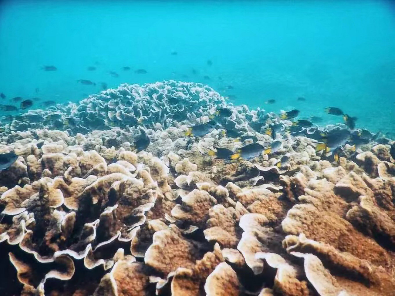 北海旅游攻略北海哪点买海鲜便宜,北海旅游怎么玩最合适