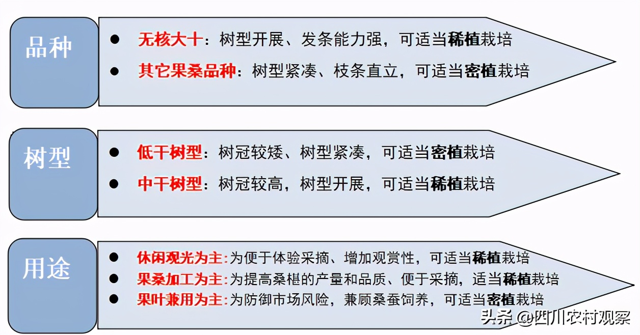 四川人小时候都吃过的美食,四川人小时候吃的锅巴