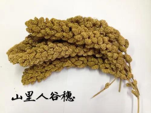 中国三次革命分别是什么,两次粮食革命是什么