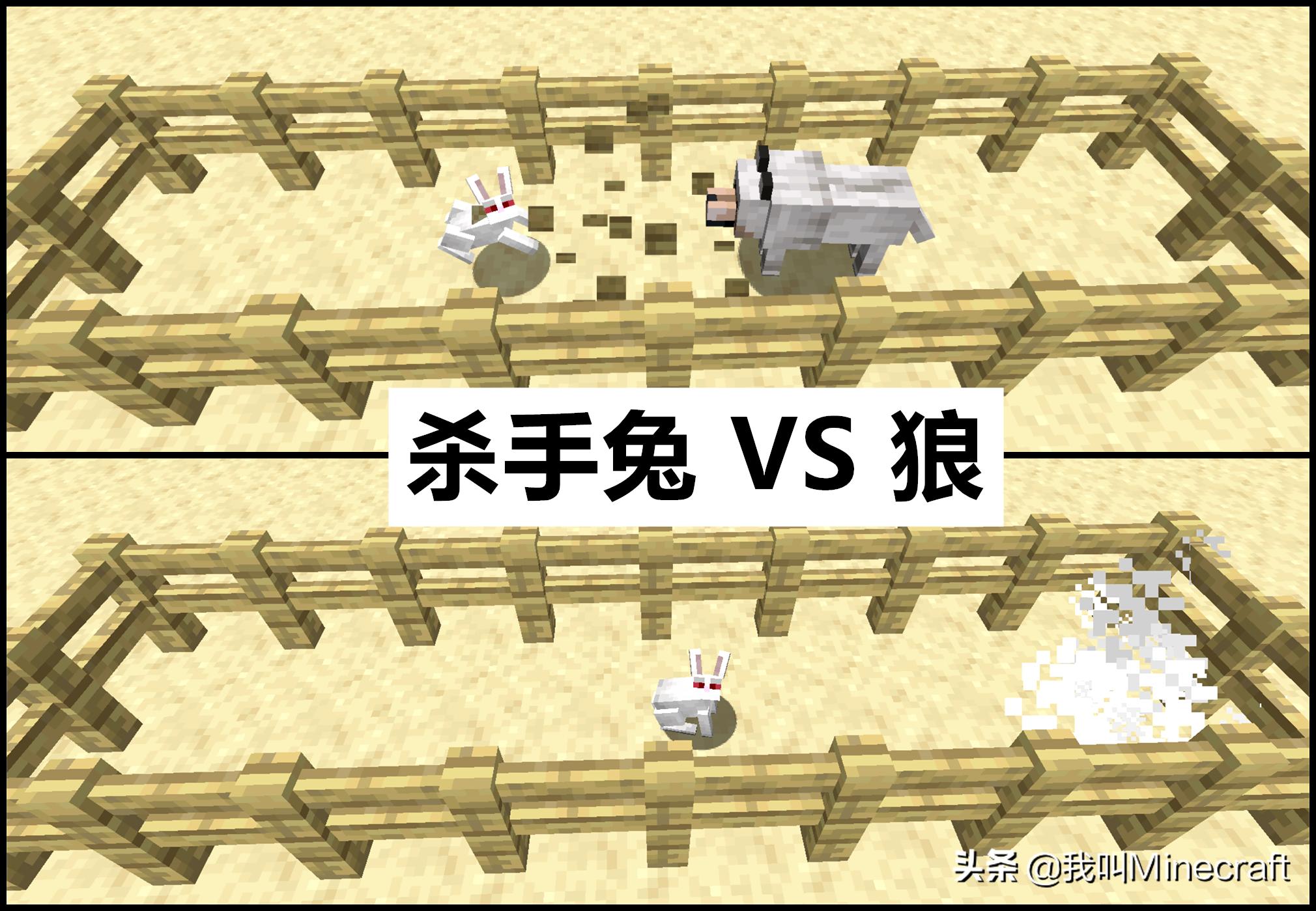 我的世界基岩版怎么召唤杀手兔 (我的世界动画铁傀儡vs杀手兔)