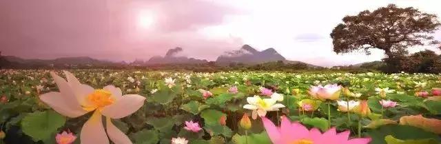 精心打造高端民宿,禅文化酒店设计风格