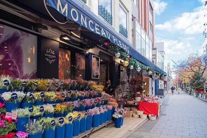 东京新宿涉谷一日游攻略,东京涩谷旅行攻略