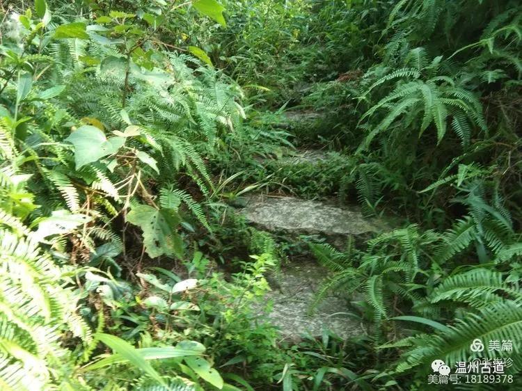 大罗山最佳爬山路线徒步,大罗山经典徒步路线55公里