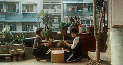 横扫电影节奖项,横扫国际影展