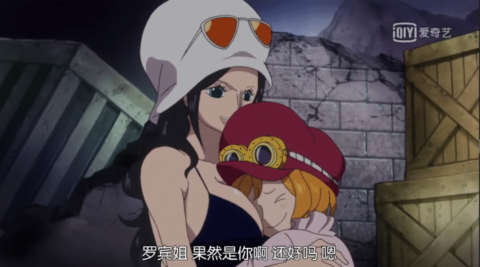 海贼王罗宾在哪一集被抓住,海贼王罗宾被抓的悲惨经历