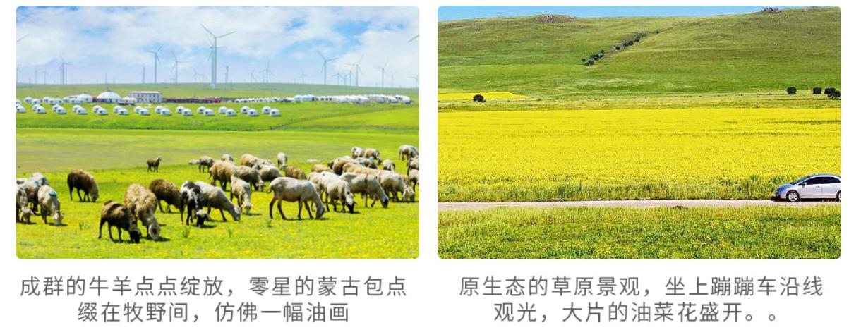 呼伦贝尔草原文化主题公园,呼伦贝尔草原深度游