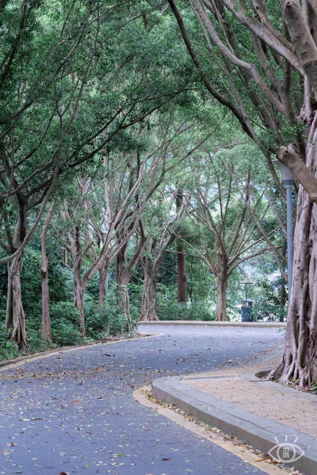 9号线上有什么景点吗,9号线游玩攻略大全