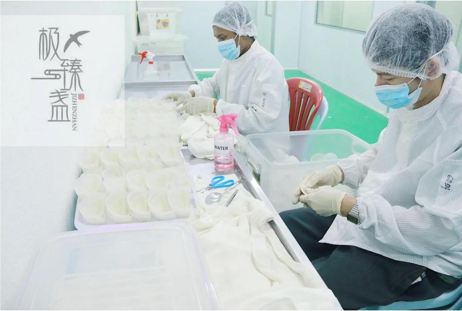 泰国燕窝有没有比印尼和马来便宜,马来印尼燕窝三角盏