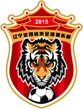 沈阳足球历史最佳阵容,全国足球最佳阵容2019