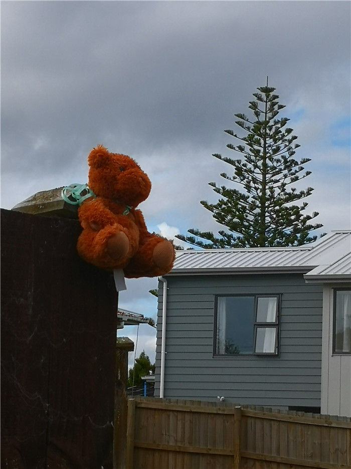 新西兰居住时间,新西兰居家办公