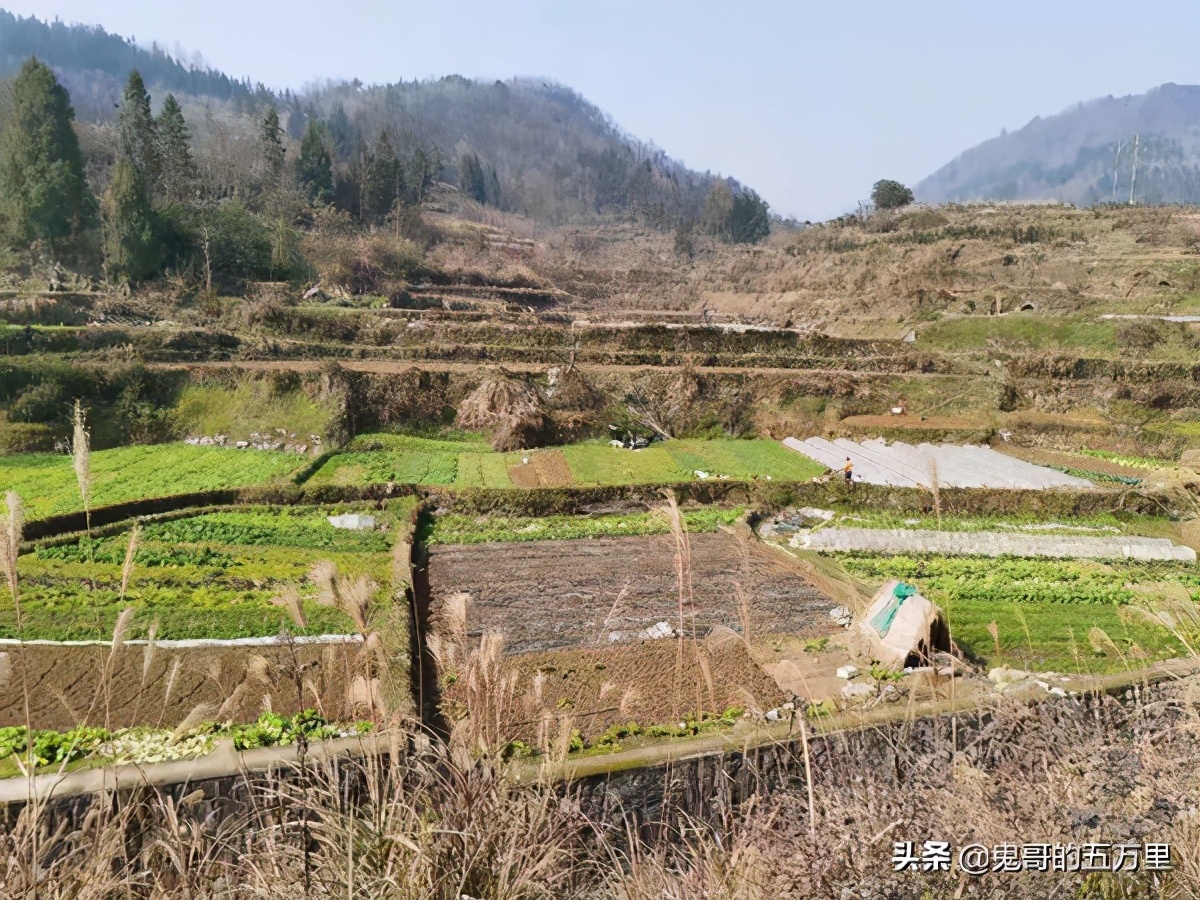 鬼哥的五万里D145骑记：生命赞歌,吉首市-麻阳县
