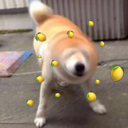 被柠檬酸到的表情包,柠檬酸酸的表情包