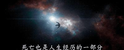 10部好莱坞大片终于又定档,2019好莱坞大片清单震撼来袭