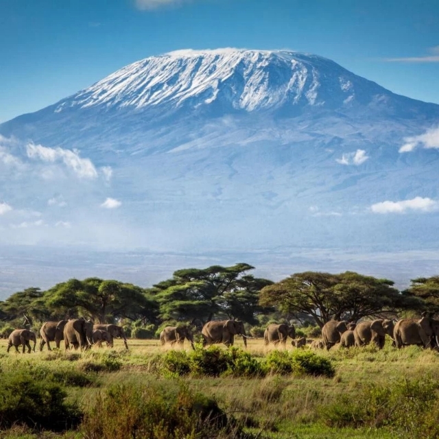 中国护照2019年最新最全免签、落地签攻略，拎包就走！