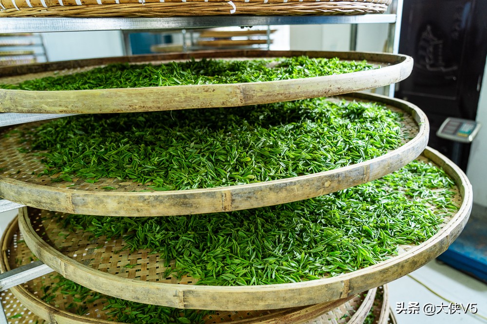 中国西湖龙井名茶最新排名,喝西湖龙井中国第一名茶