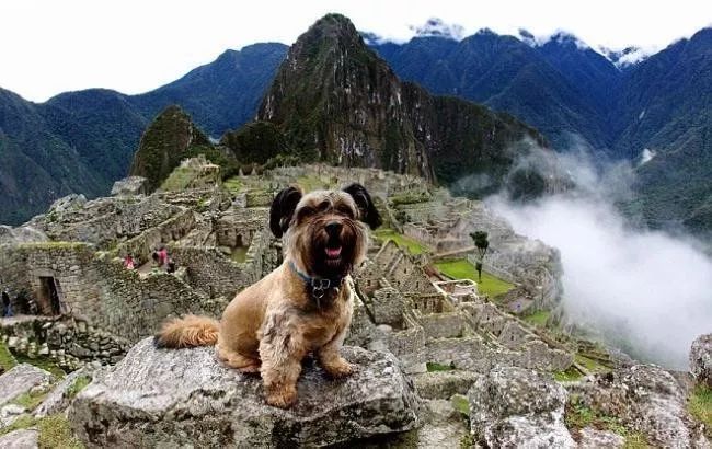 旅行100个冷知识,旅行冷知识500例