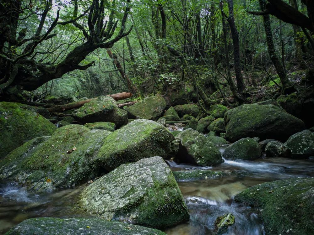 初学摄影需要买的基本器材 (新手入门摄影买什么相机)