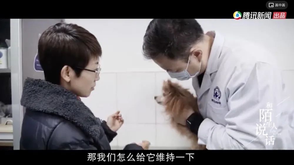 能治好所有病的宠物医生,宠物医生治不好自己的宠物