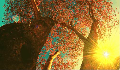 粗心的我400字优秀作文,贪玩的我优秀作文