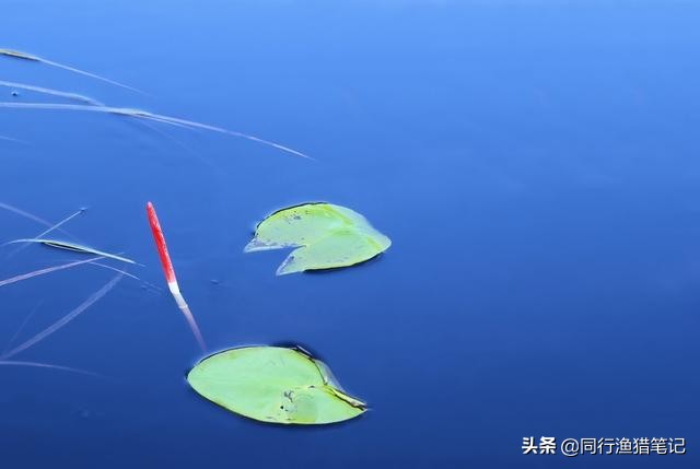 钓鱼看漂适用什么眼镜,野钓偏光眼镜有什么用