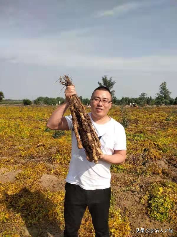 互联网电商创业项目,电商创业项目有哪些