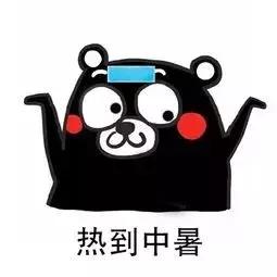 媒体排版工具,新媒体排版常用工具及操作方法