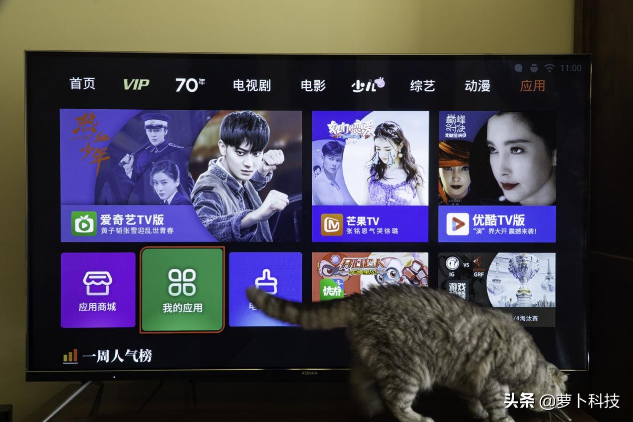 康佳4k55寸电视测评,康佳55d8电视怎么样