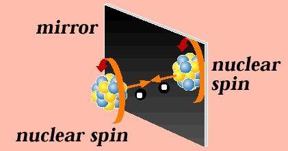 反物质会产生生命吗,反物质可以逆转时间吗