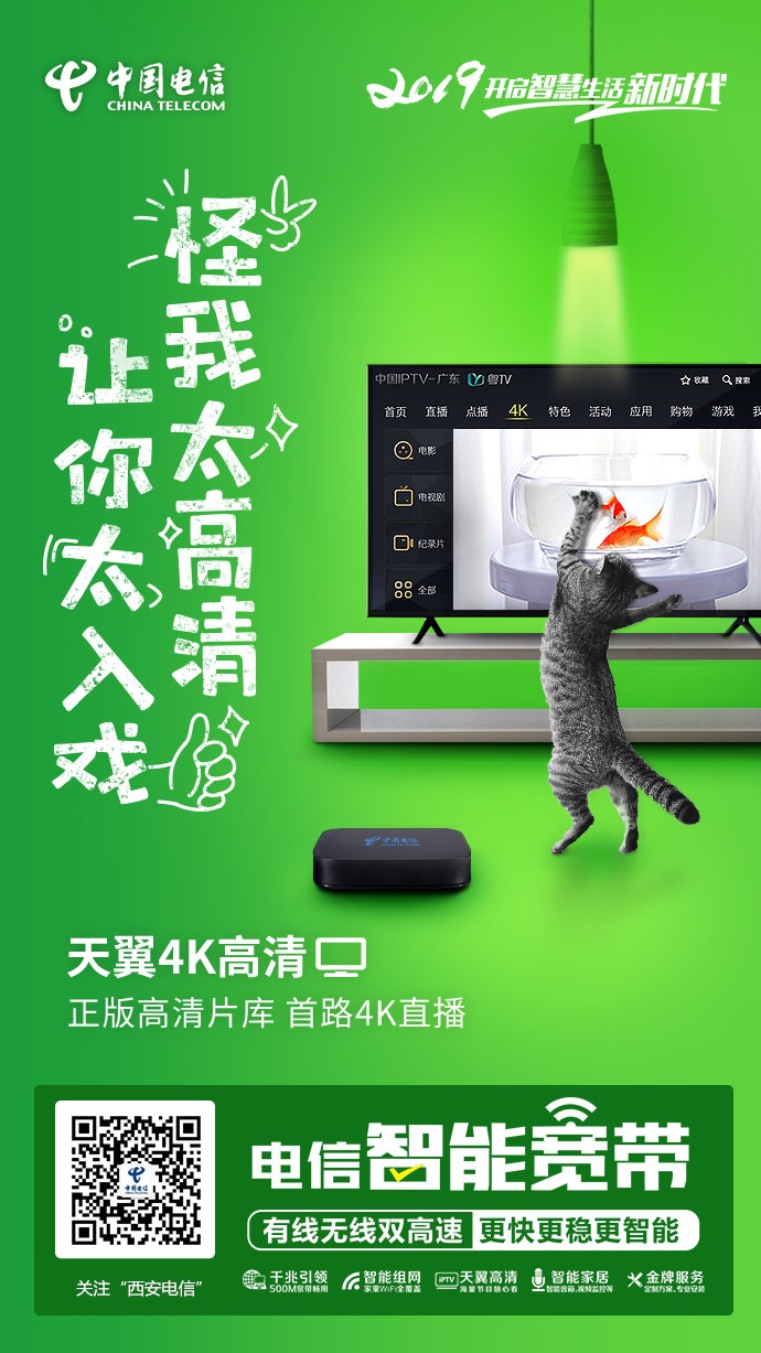 为什么要选择电信的套餐,为什么选择宽带账号上网