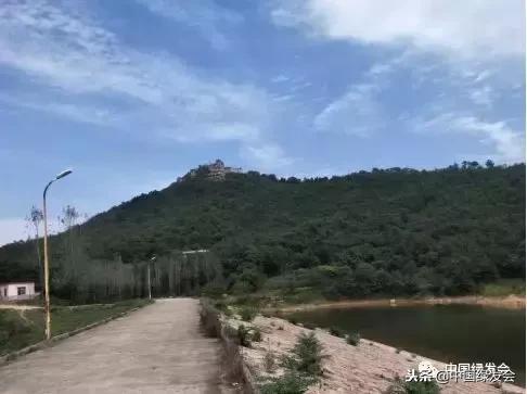 保护“断板龟”，绿会收到河南罗山志愿者中华保护地建设申请