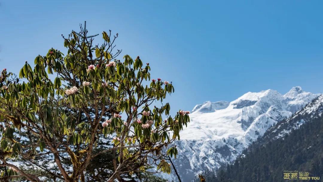 钘忎笢鏄庣彔鏄岄兘瑙嗛,鏄岄兘涓轰粈涔堝彨钘忎笢鏄庣彔
