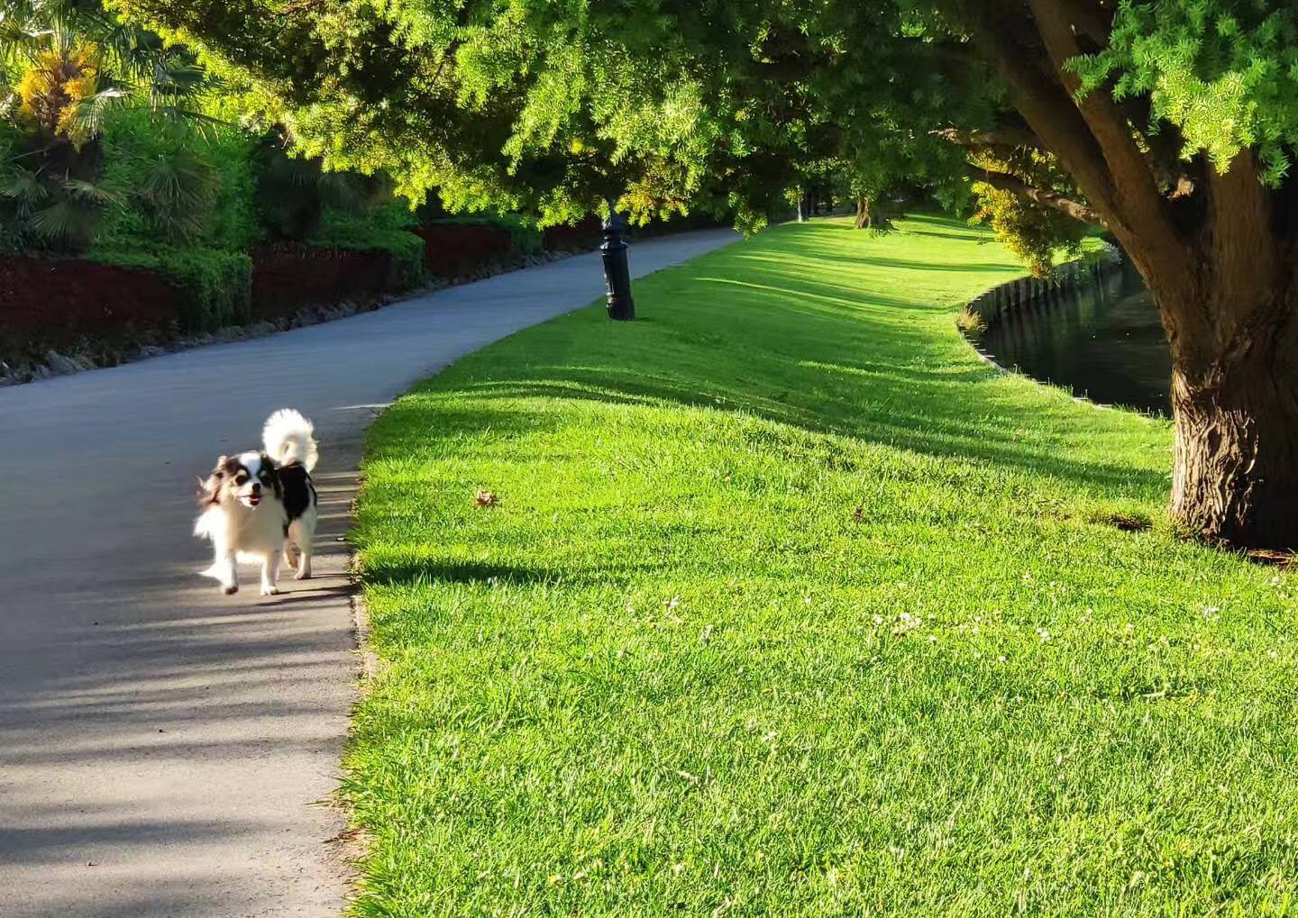 新西兰林肯大学位置,新西兰林肯大学