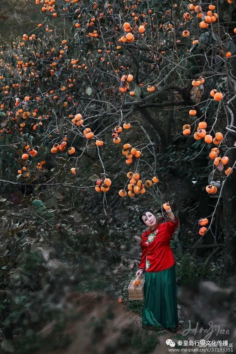 秦皇岛秋天美景,秦皇岛秋天落日和晚风
