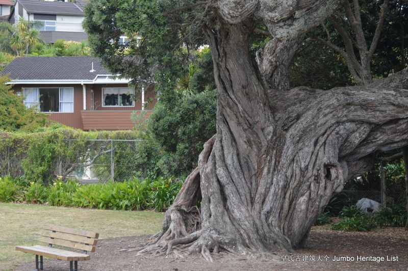 第29回：名校毕业风光不再，穹顶之下天空湛蓝