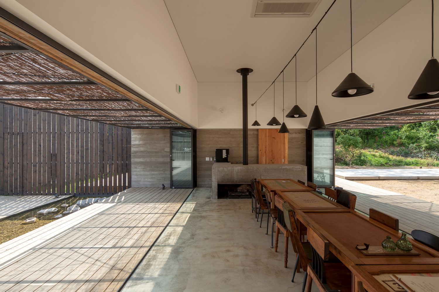 韩国蒲公英,韩国野生蒲公英的种植