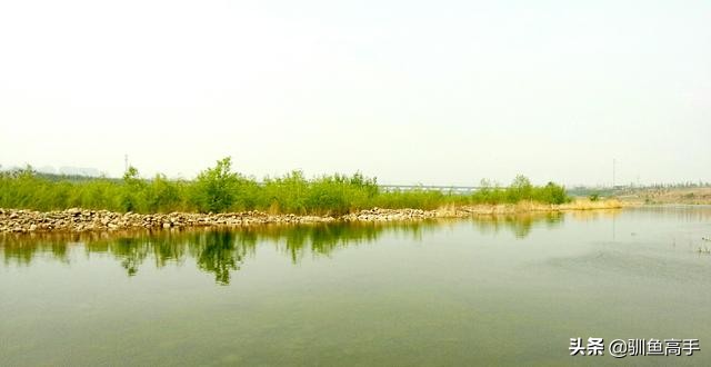 3月份浅水路亚,百闻不如一见美景视频