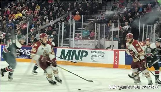 移民加拿大后，第一次在现场看激动人心的冰球比赛是种什么体验？