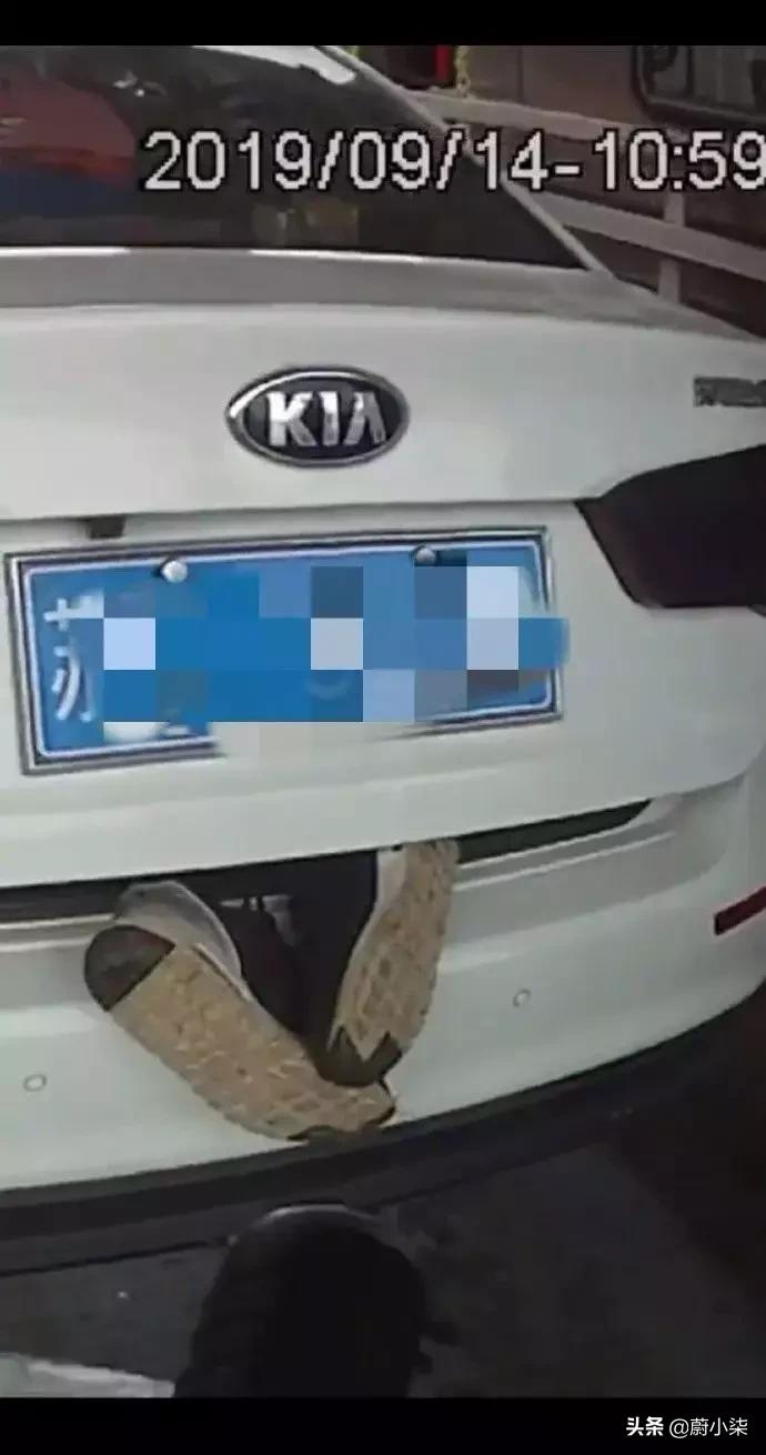 突然发现女友有纹身,男朋友前女友有纹身