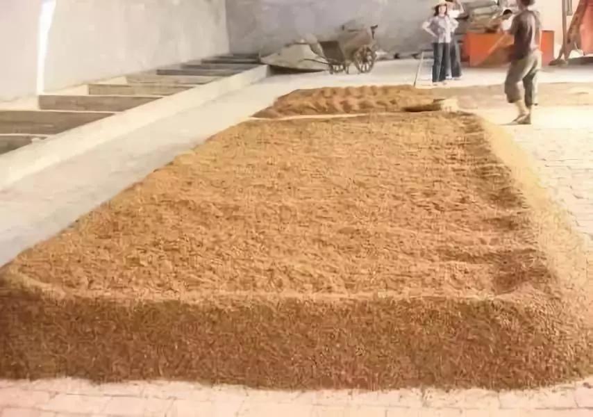 浓香大曲酿酒工艺流程,酿酒技术专业了解