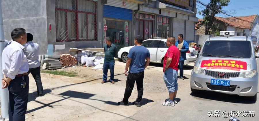 临沂沂水美丽乡村建设,沂水县沂城街道美丽乡村