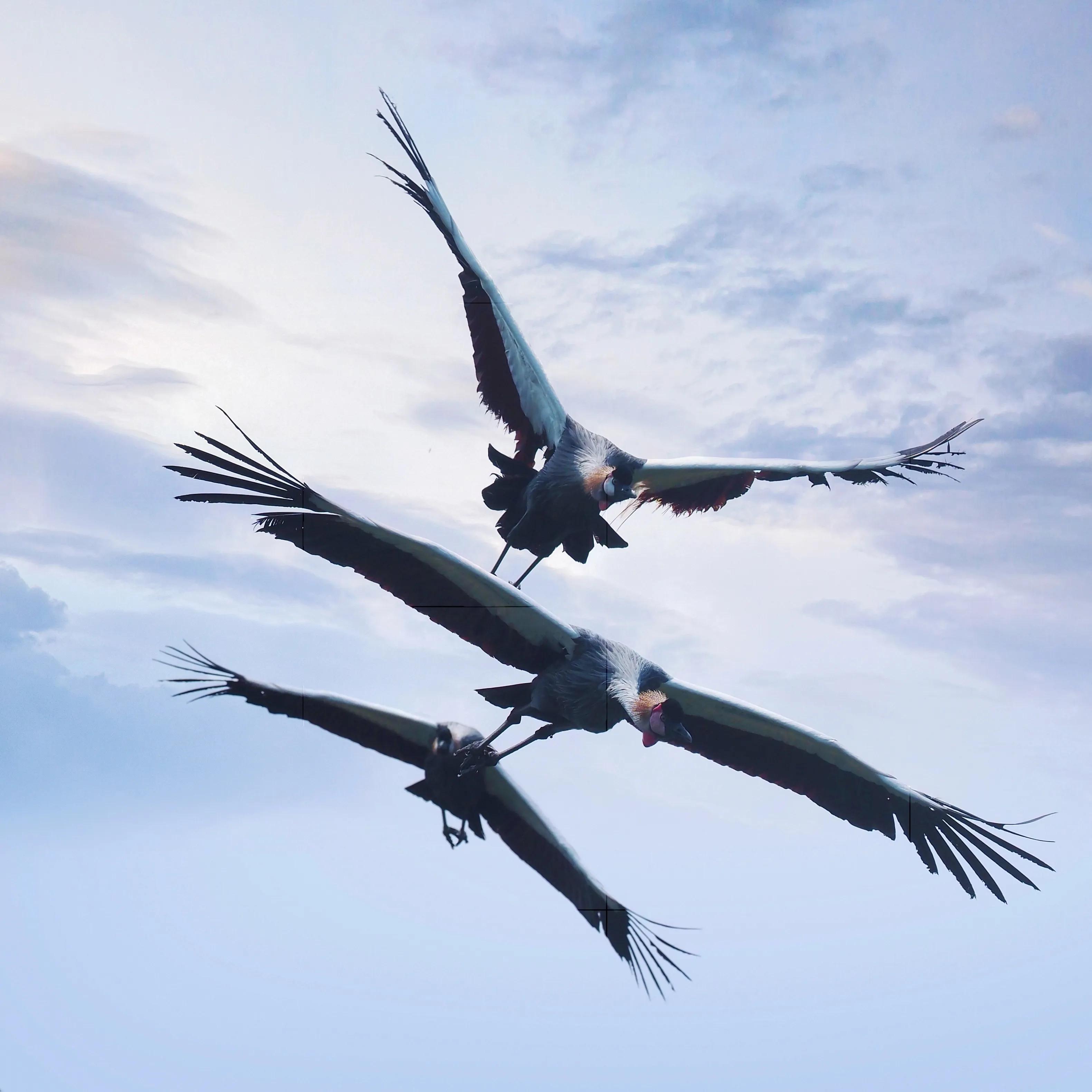 拍儿童照被坑,那些年带娃踩过的坑