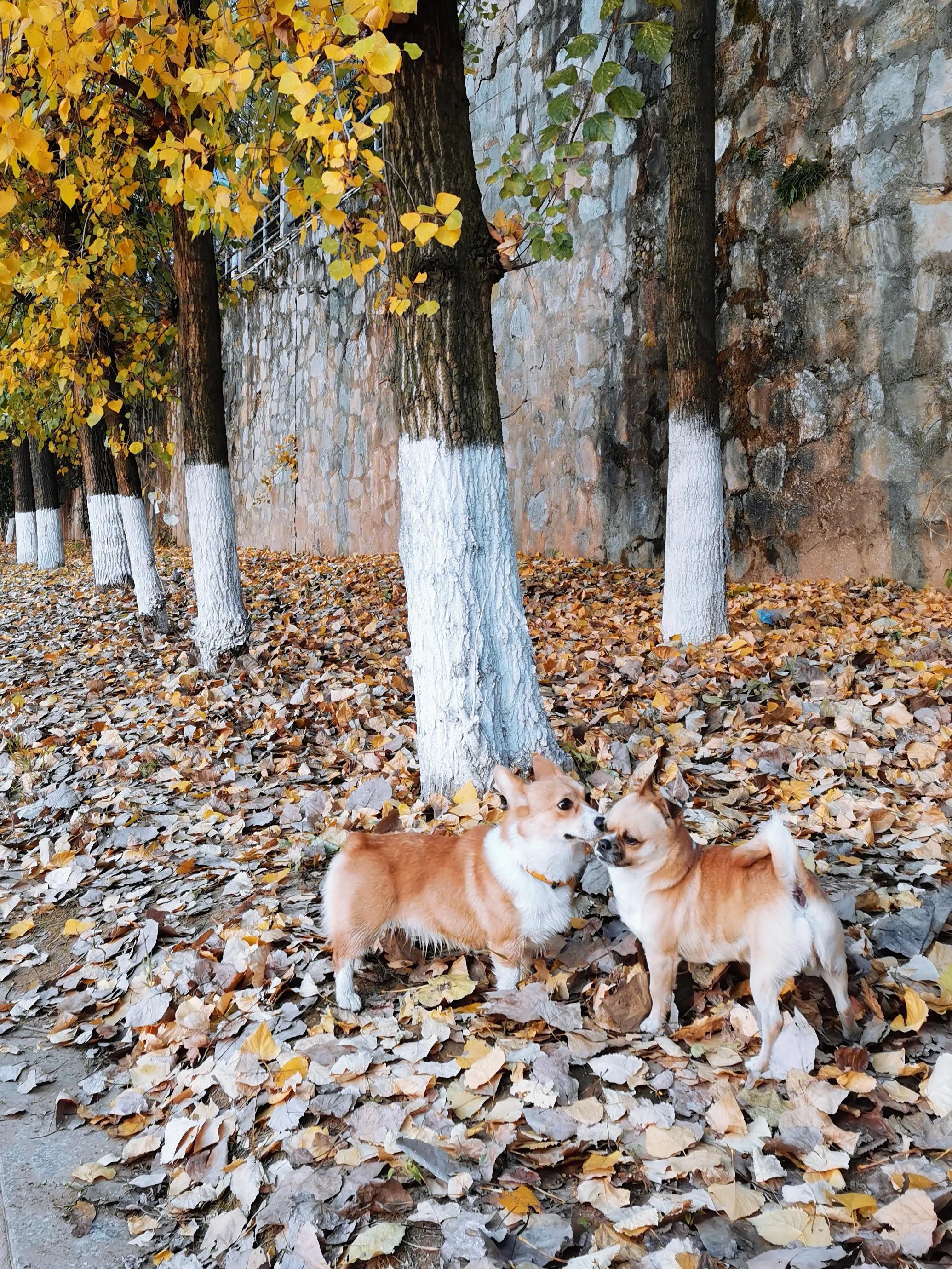 手机摄影手册圈友作品选第5期,手拍世界摄影交流平台