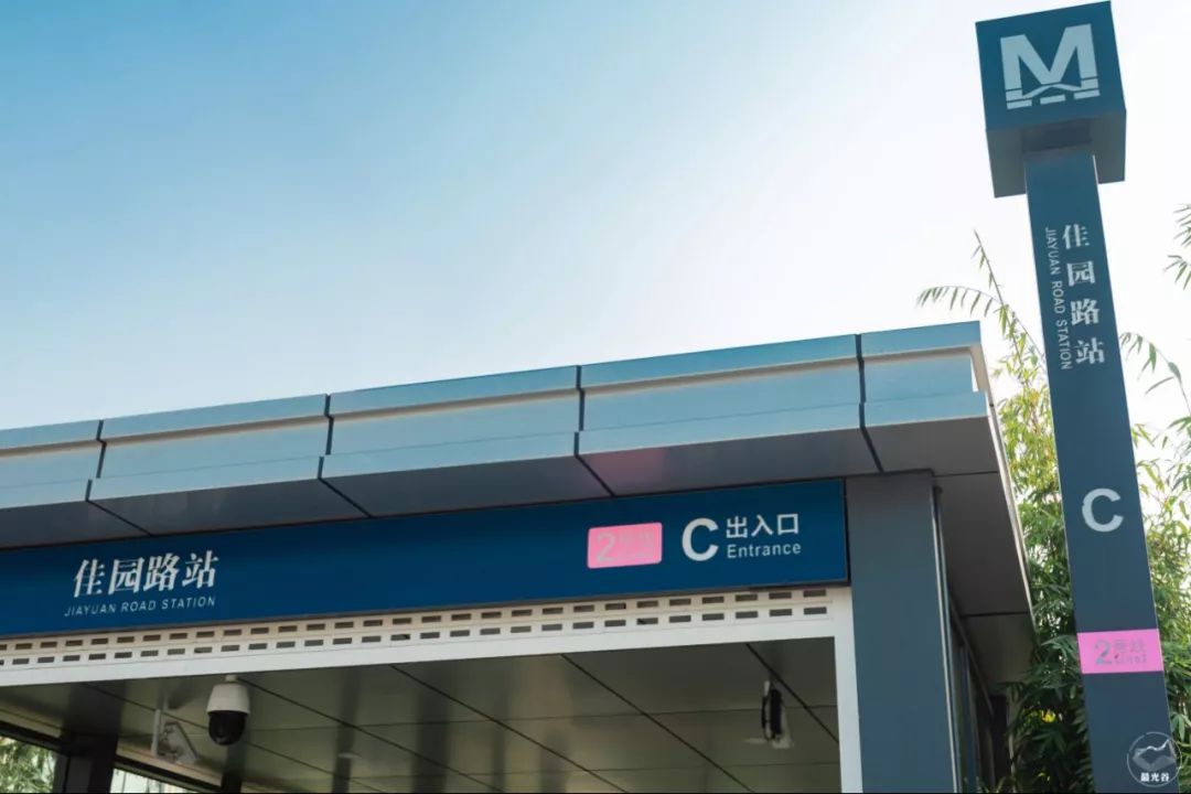 不输武大樱花，文华学院美“枫”了