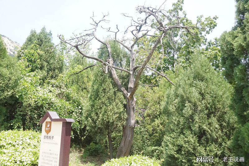 莲花山人间仙境美如画,云雾缭绕莲花山人间仙境