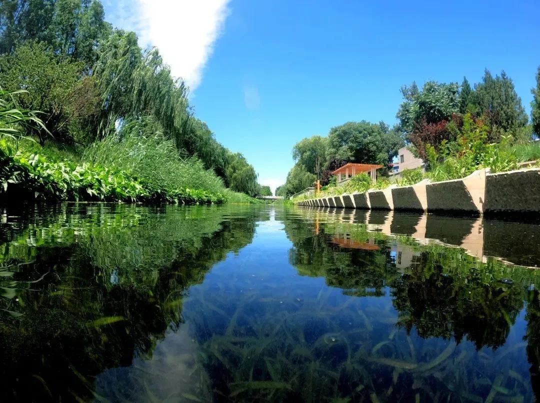 荣获乡村振兴优秀证书,2023乡村振兴成就奖