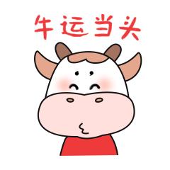 春节在家闷泡老白茶,夏天喝白茶的十大好处