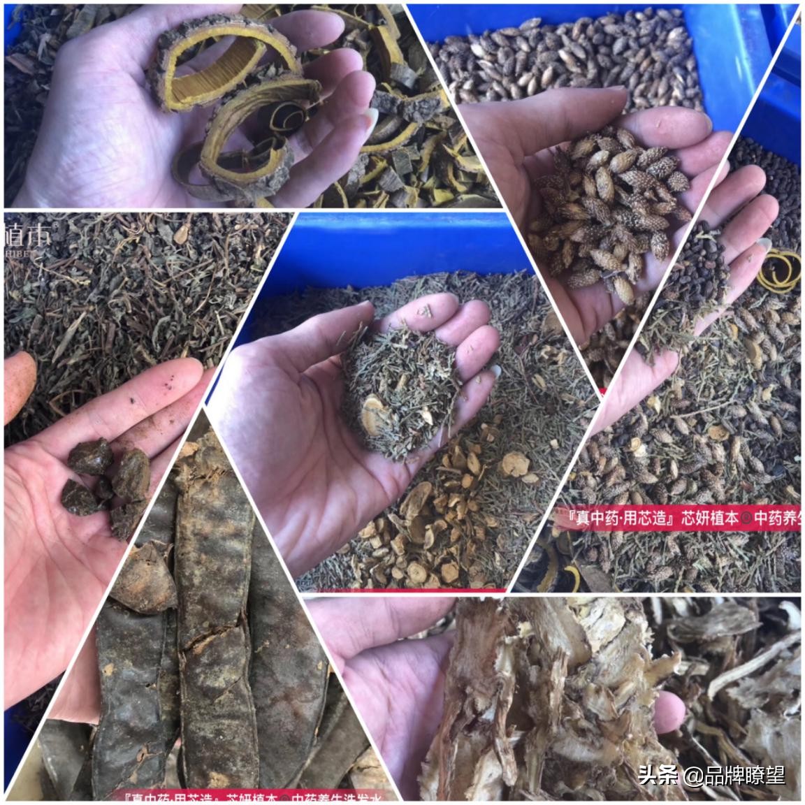 中国本土洗护品牌,新型健康养生产品性价比