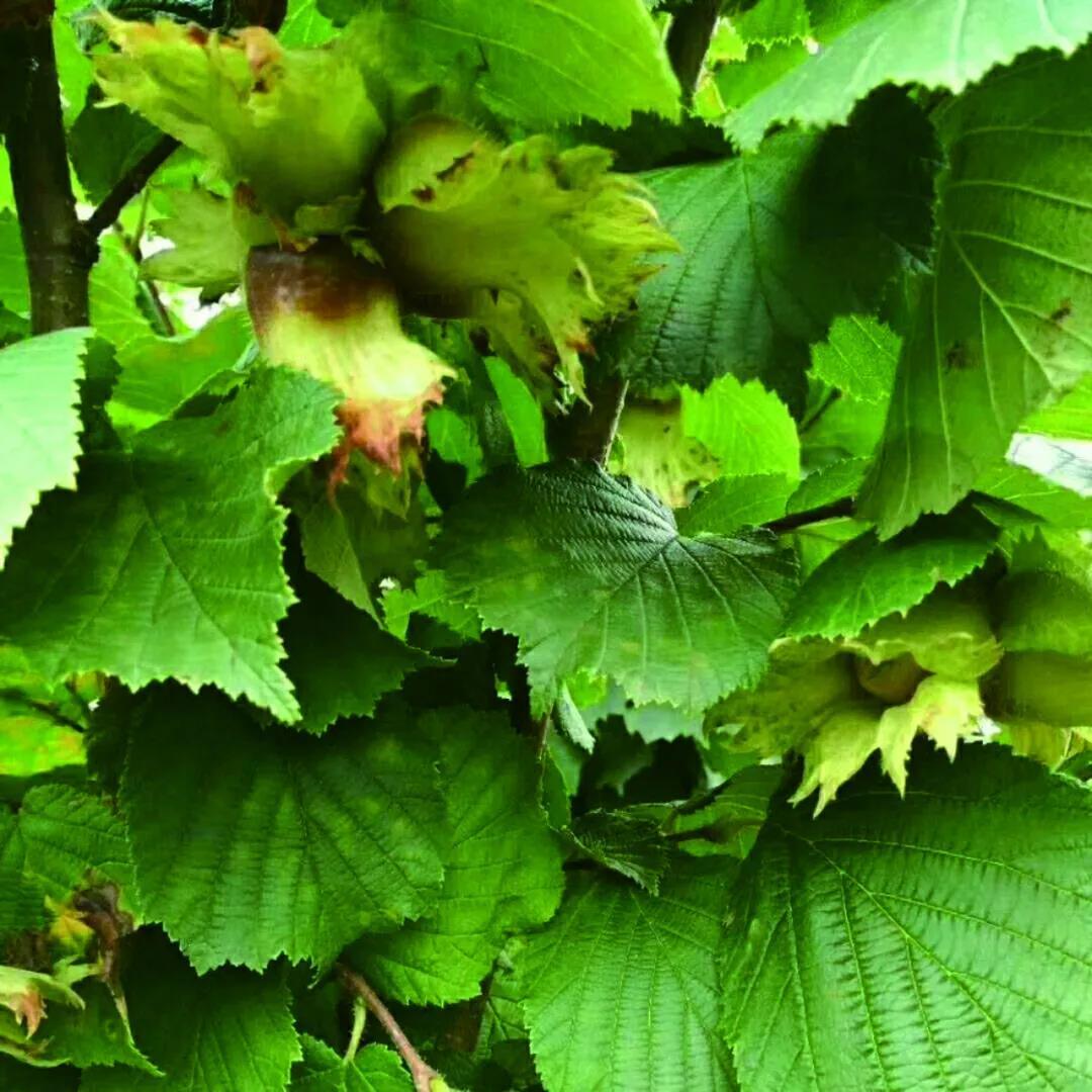 乡村精品游线路推荐,极品旅游景点推荐