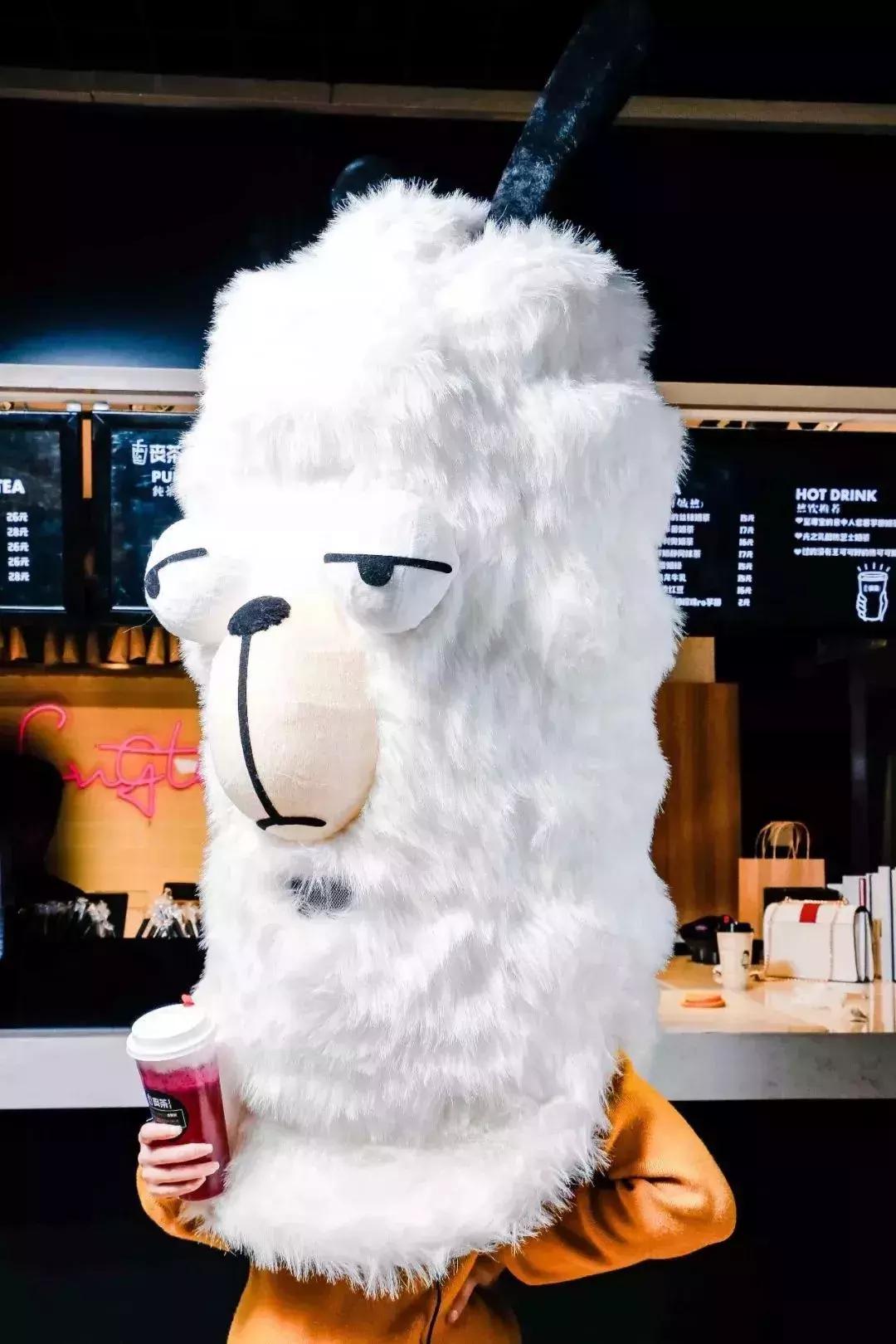 百奶大战：温州奶茶往事